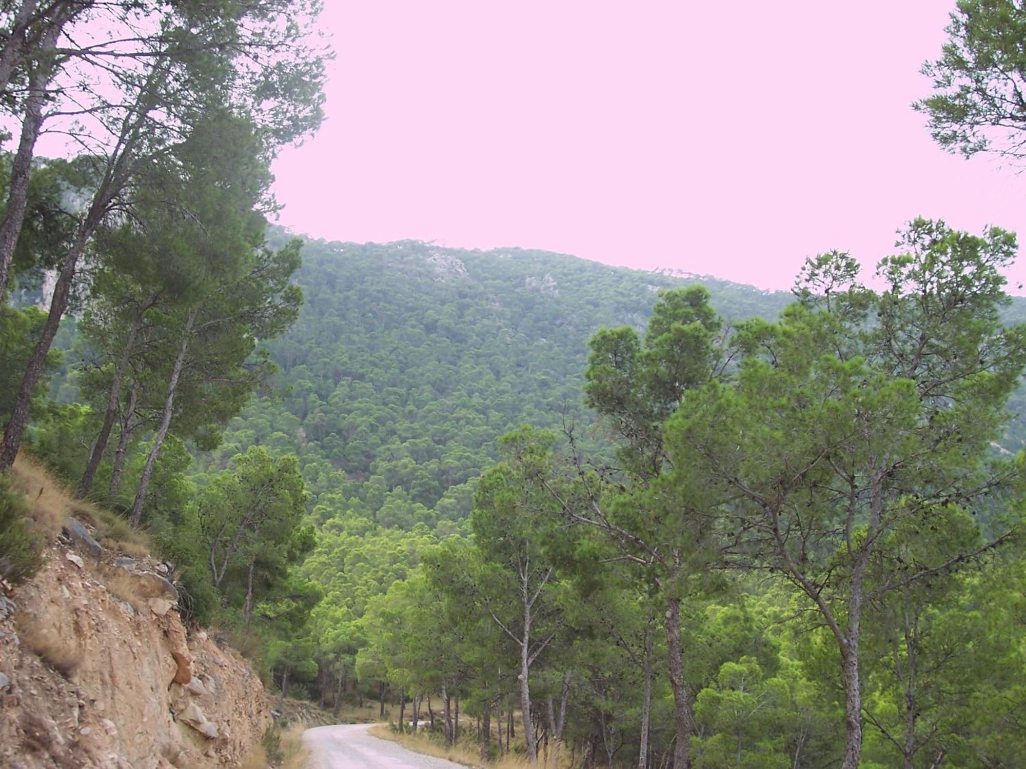 Aljibe De Monastrell Hostel Ricote Bagian luar foto